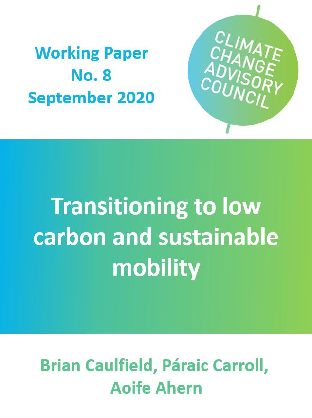 Working Paper No. 8: Transitioning to low carbon and sustainable mobility